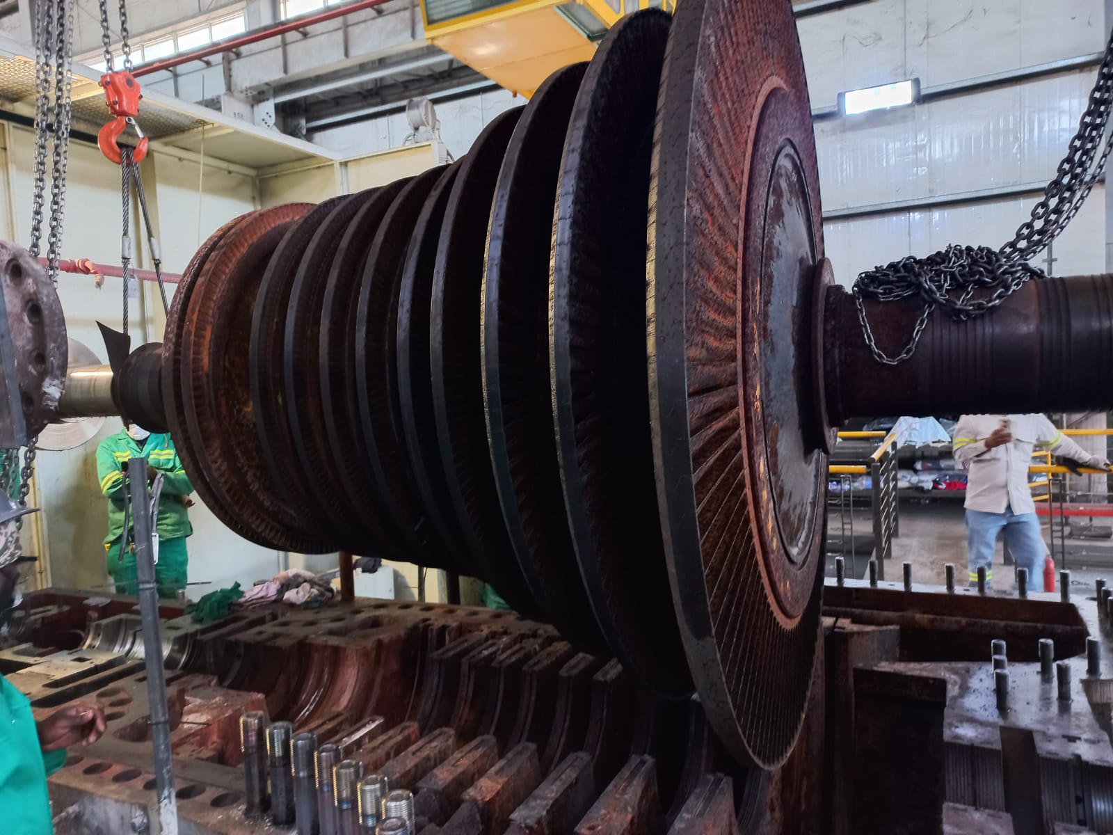 Professional Consultation